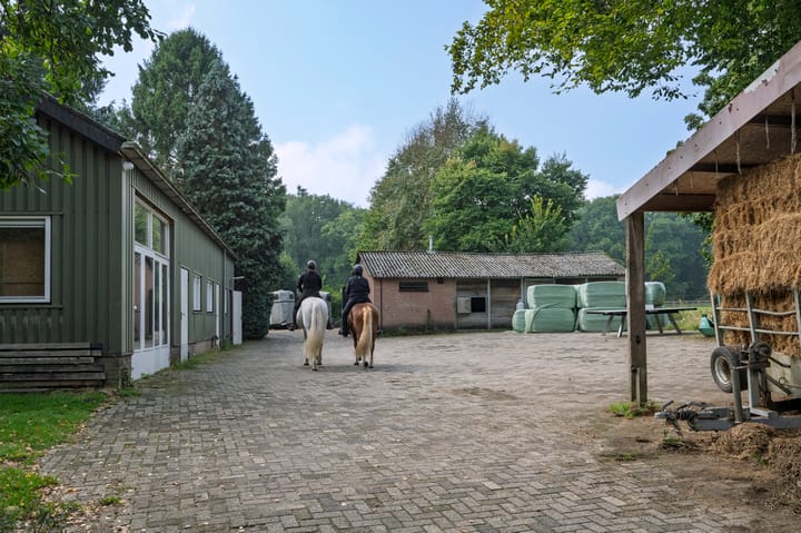 Photo 19 of Priesnitzlaan 4