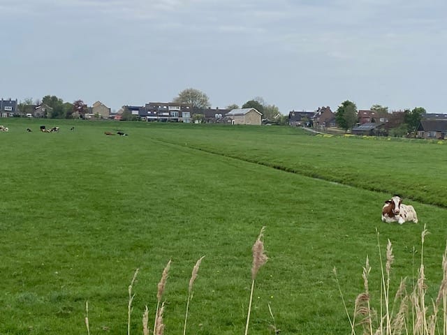 Photo 44 of Overbuurt 9