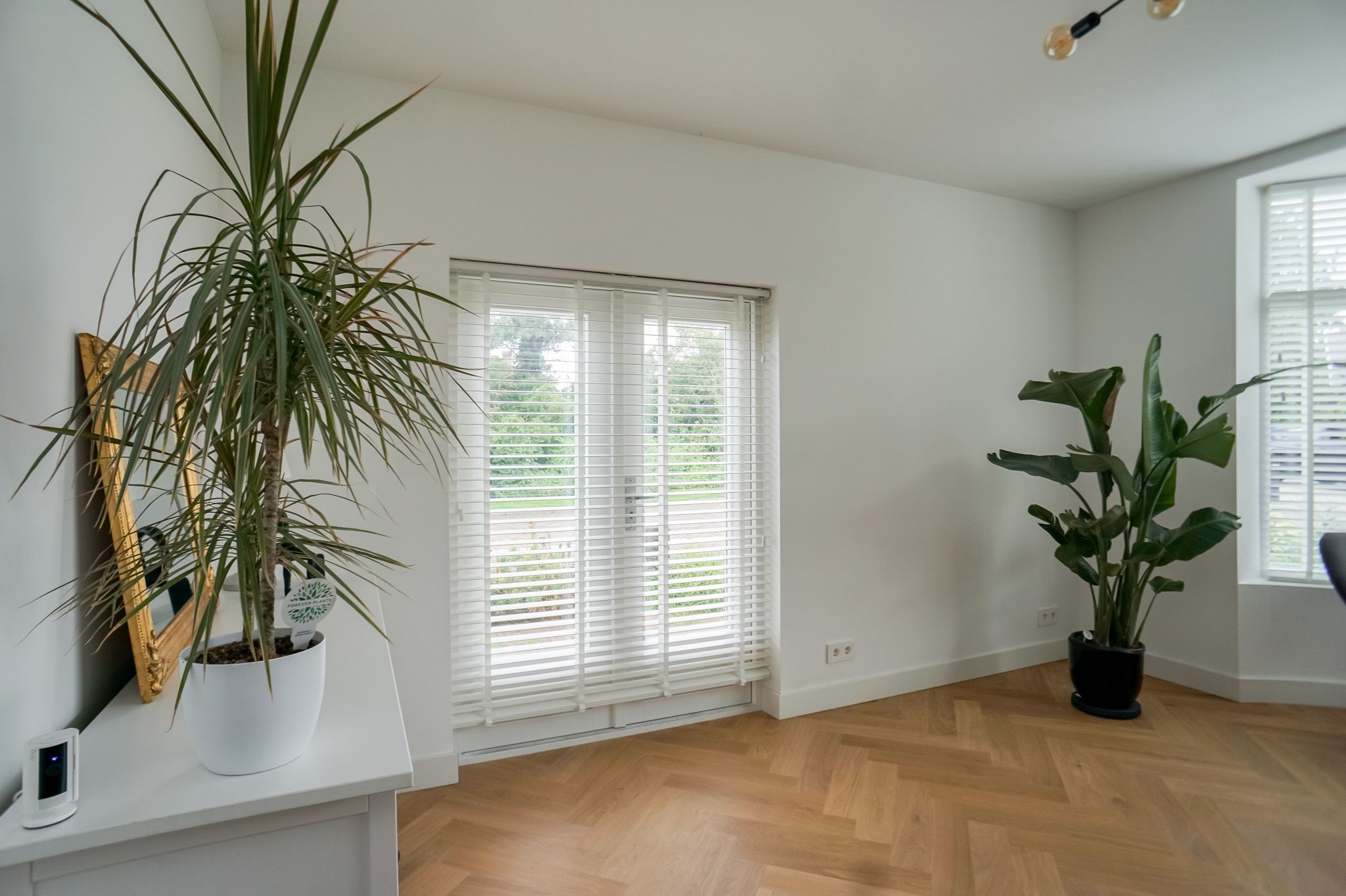 Foto 9 van Cort van der Lindenkade 12