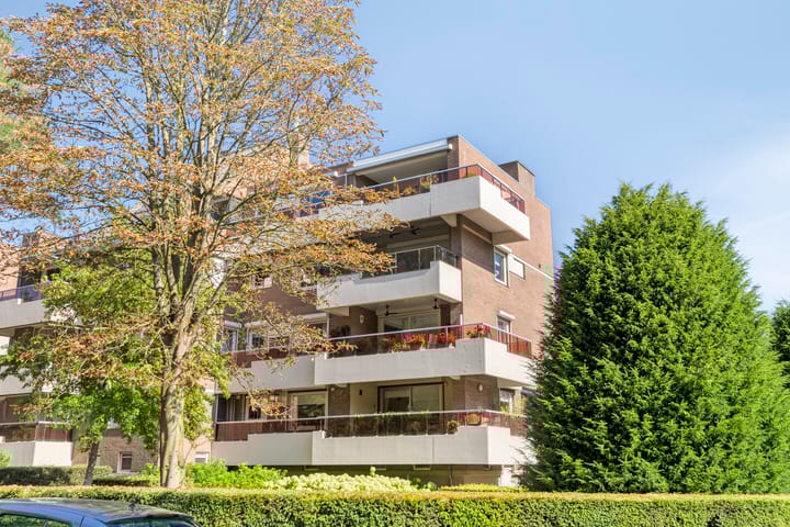 Foto 1 van Wilhelminalaan 31