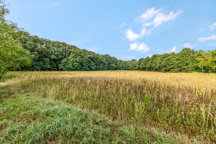 Foto 33 van Den Oven 14