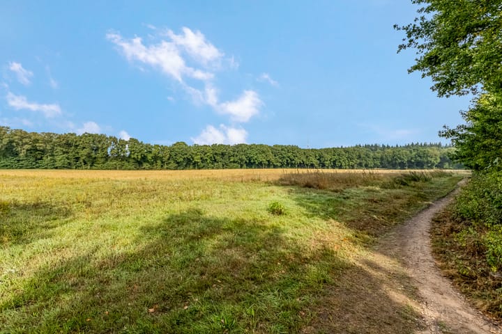 Foto 34 van Den Oven 14