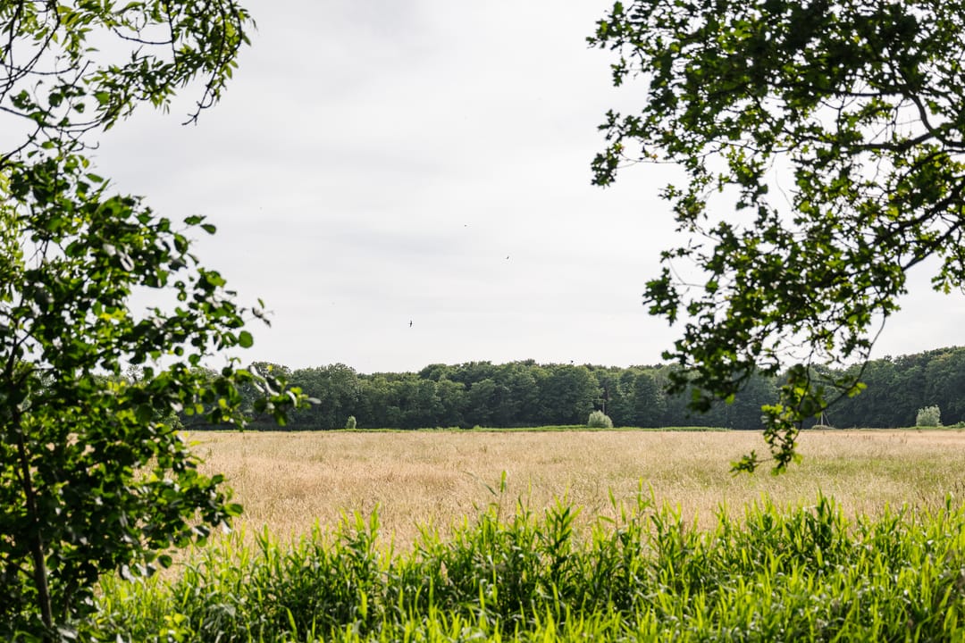 Foto 11 van Maarten Kruytstraat