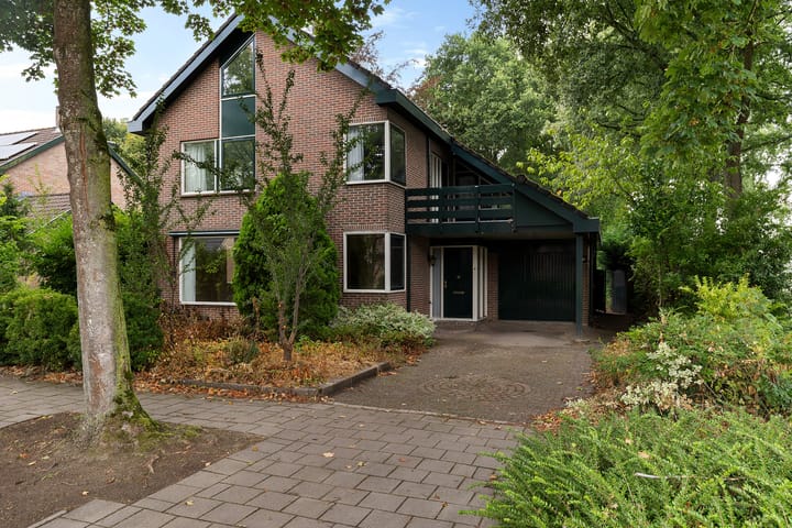 Foto 1 van de Meute 40