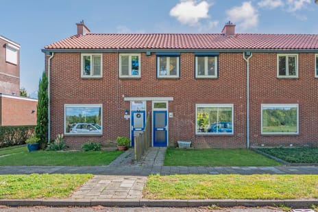 undefined main image