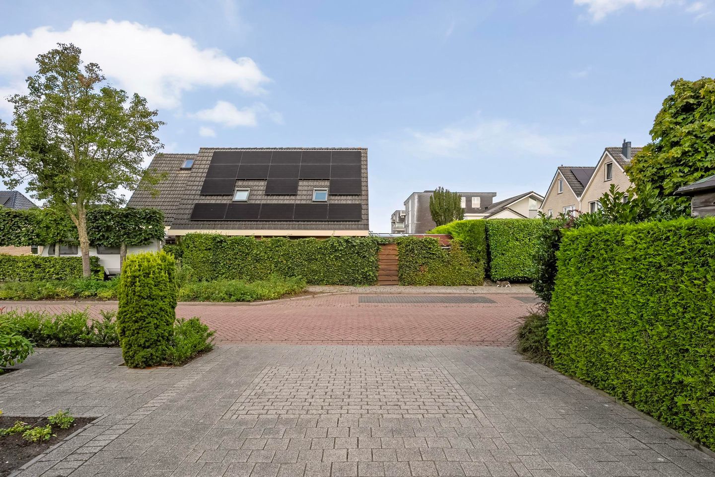 Foto 49 van Boterbloemweg 1