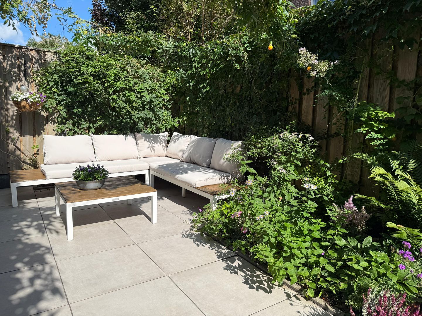 Foto 49 van Johannes Camphuijsstraat 244