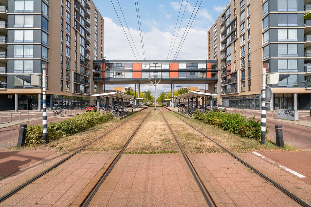 Photo 23 of Avenue Carré 216