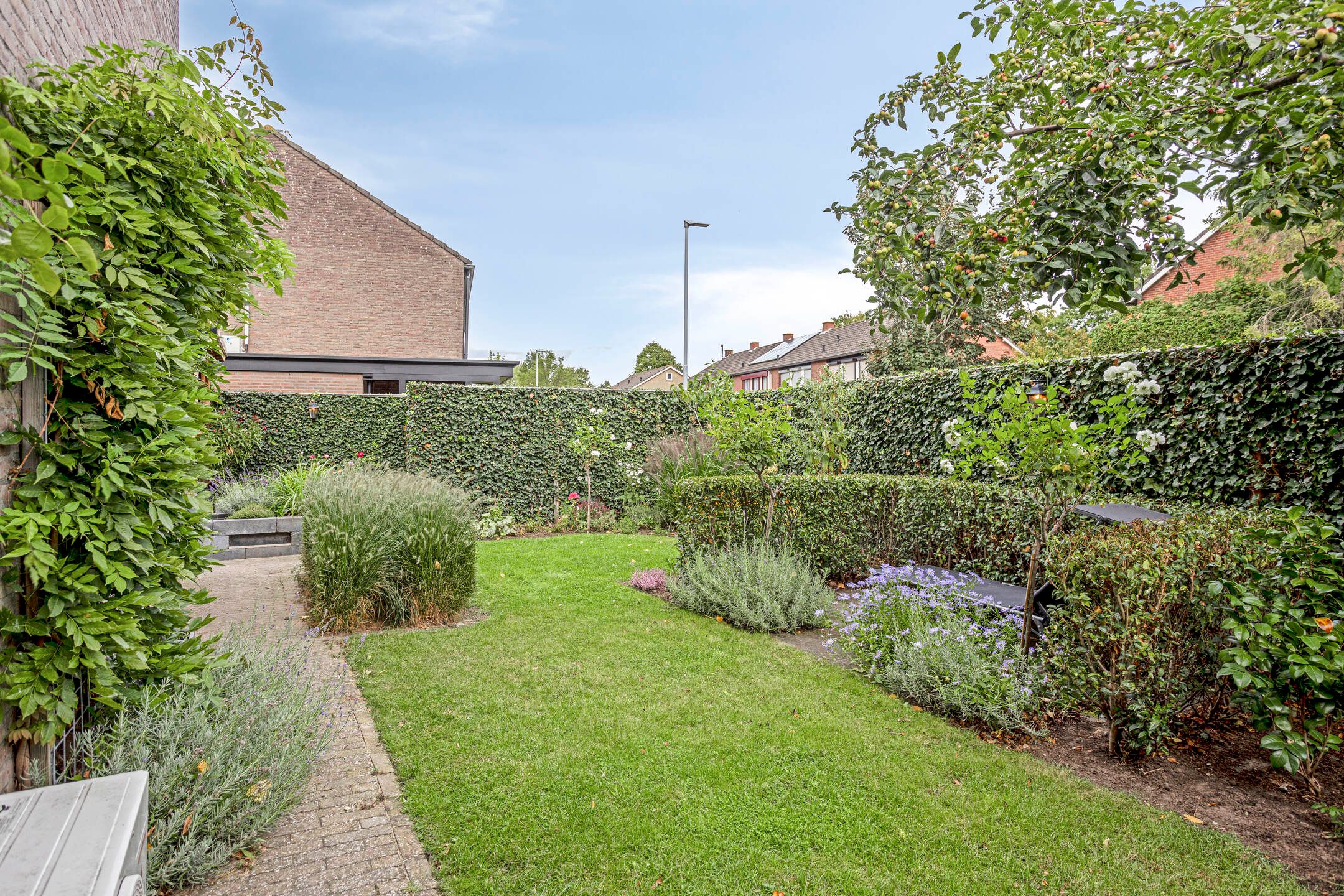 Photo 36 of De Boogerd 12