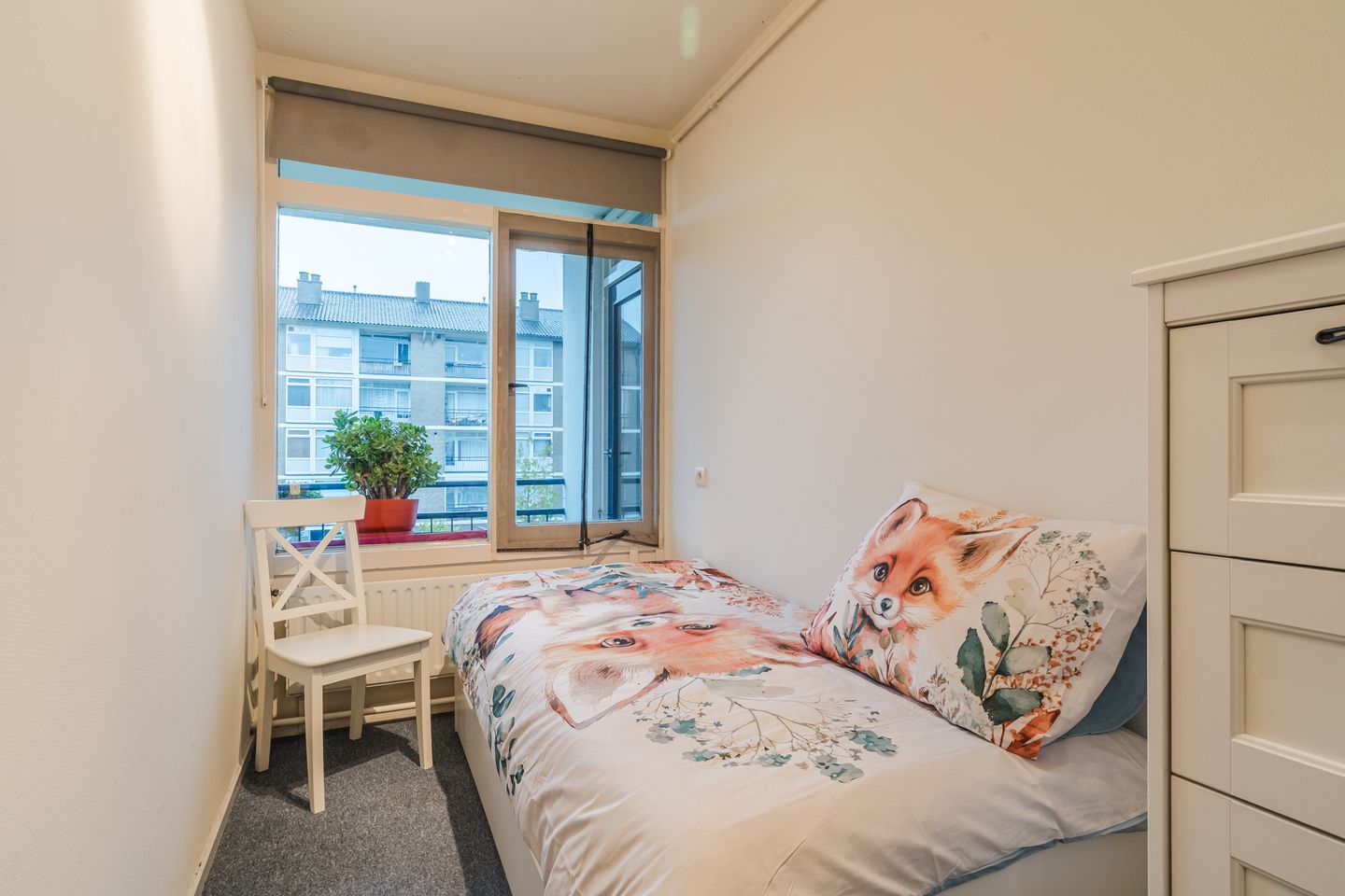 Photo 20 of St Plechelmuspad 7