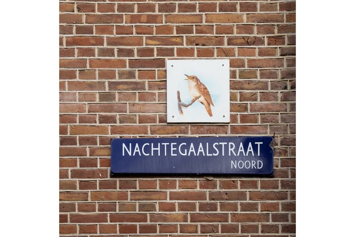 Foto 25 van Nachtegaalstraat 59