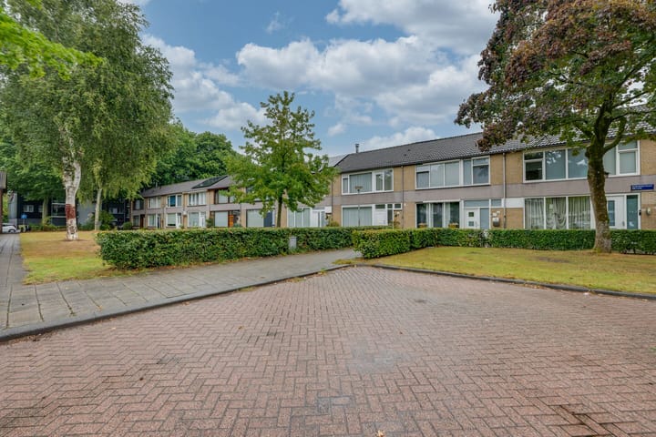 Foto 3 van Borodinstraat 110