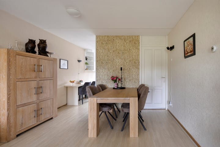 Photo 8 of De Omloop 16