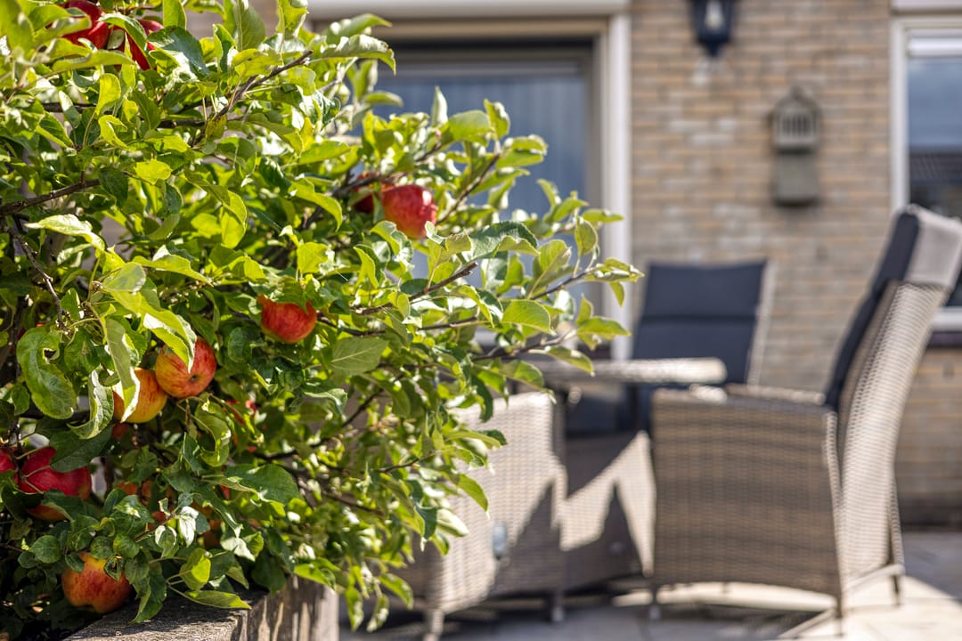 Foto 28 van De Omloop 16