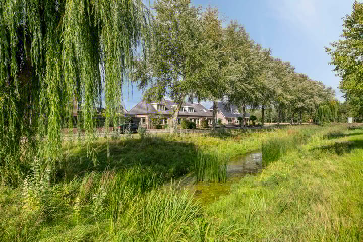 Photo 30 of De Omloop 16