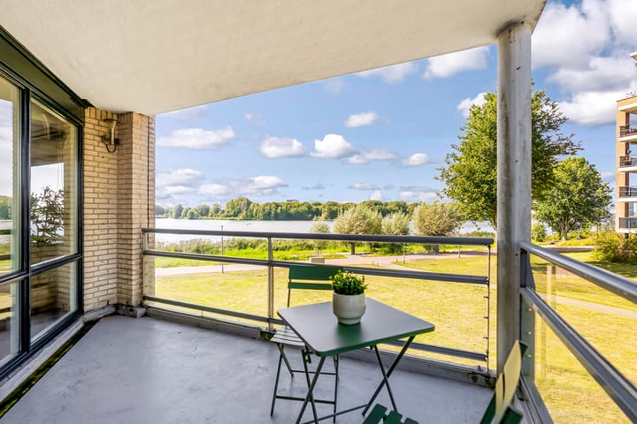 Foto 14 van Fellinilaan 304