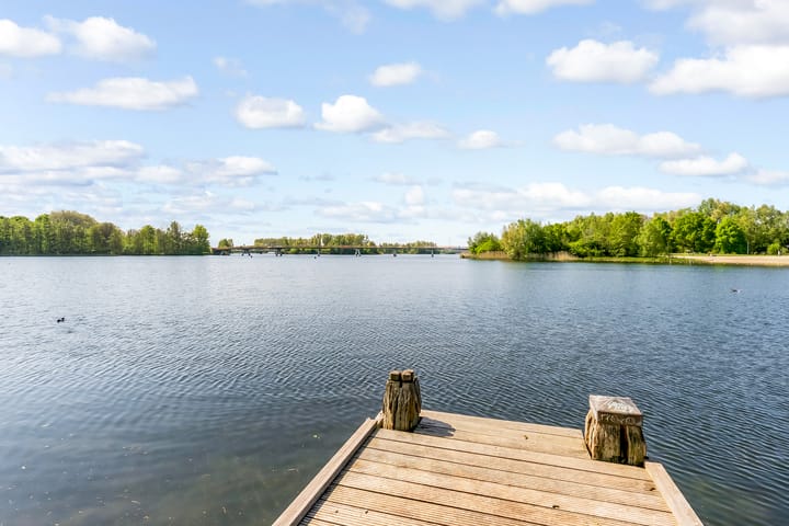 Foto 41 van Fellinilaan 304