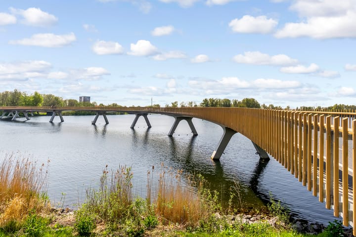 Foto 43 van Fellinilaan 304