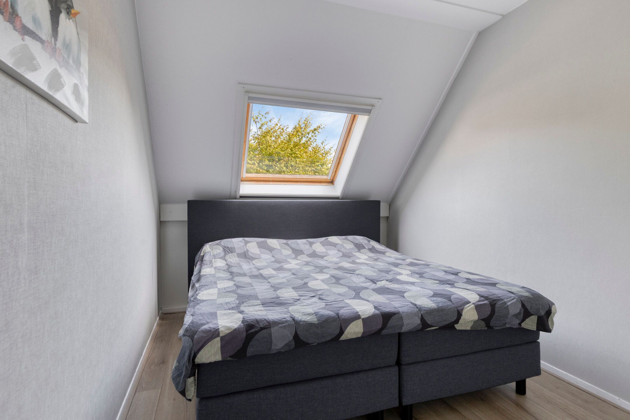 Foto 15 van De Wetterwille 198