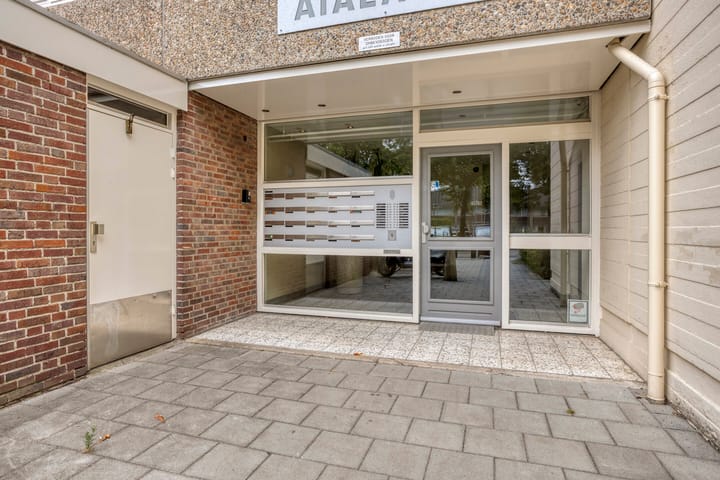 Foto 3 van Venuslaan 291