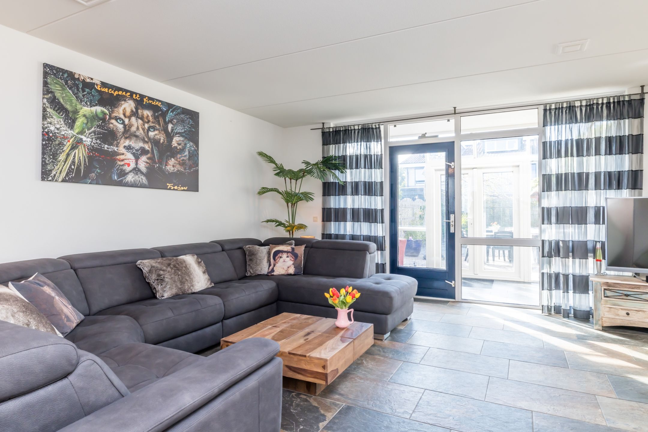 Foto 12 van Carisven 13