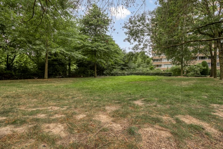 Foto 31 van Venuslaan 291