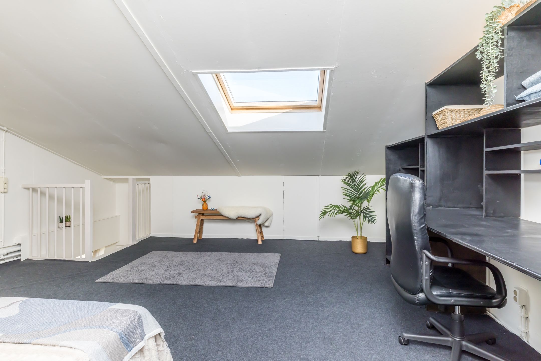 Foto 30 van Carisven 13