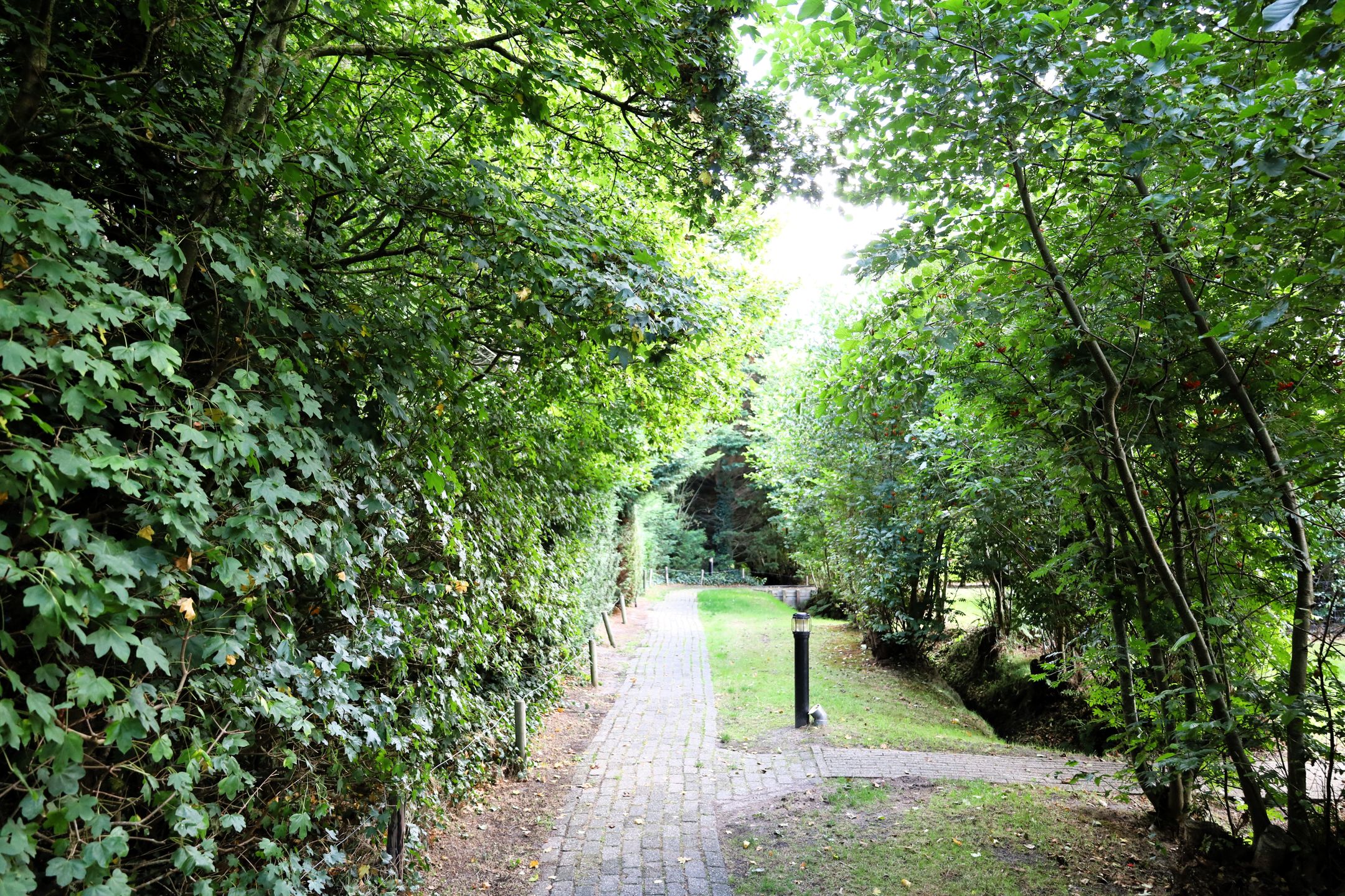 Photo 21 of Duinweg Formerum 9-11