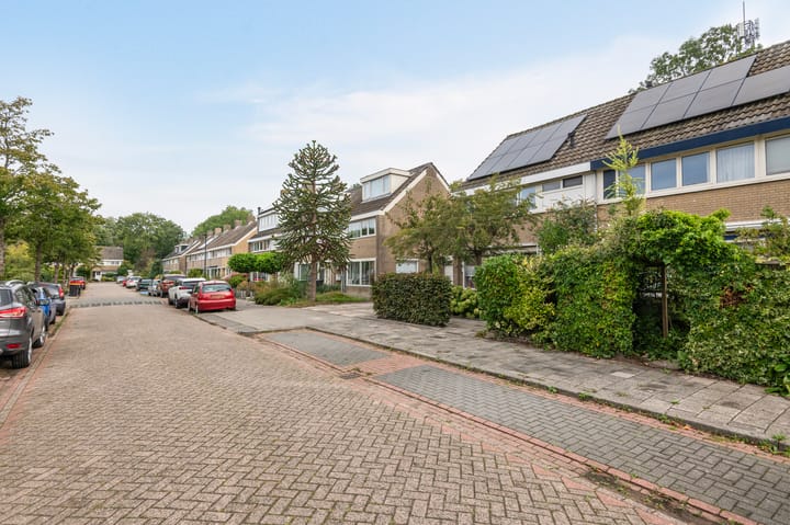 Foto 47 van Pieter de Hooghstraat 71