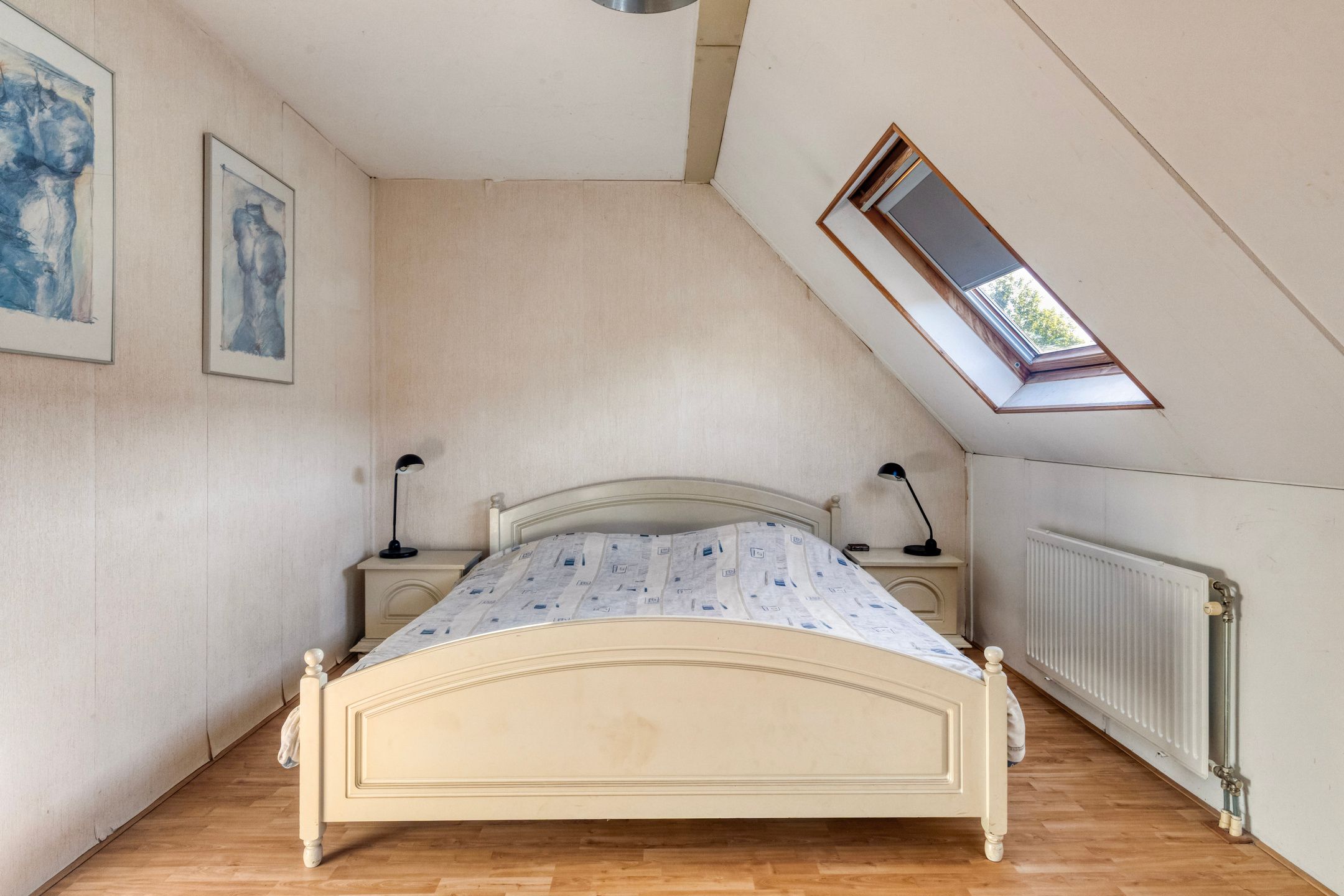 Photo 12 of Meerkoet 27