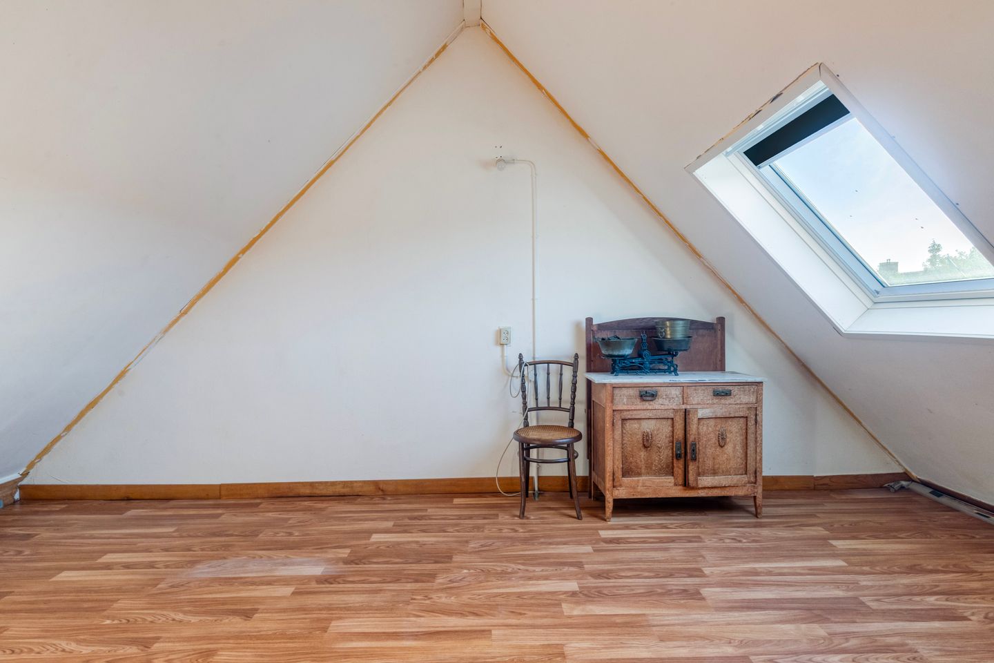 Photo 20 of Meerkoet 27