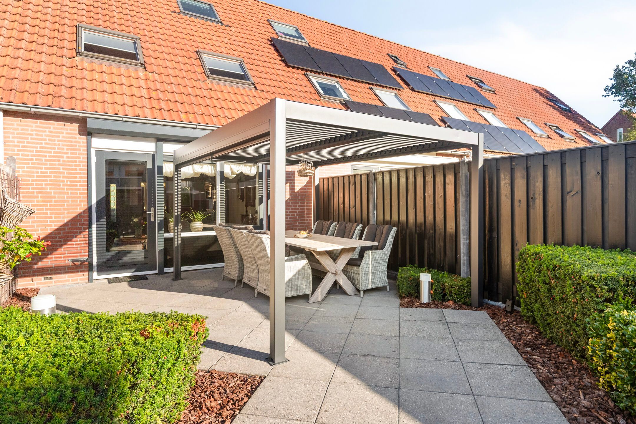 Photo 24 of Meerkoet 27