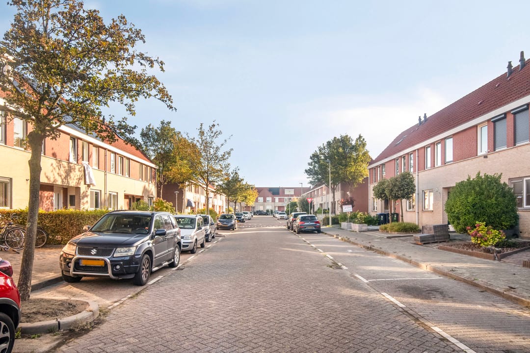 Photo 26 of Meerkoet 27