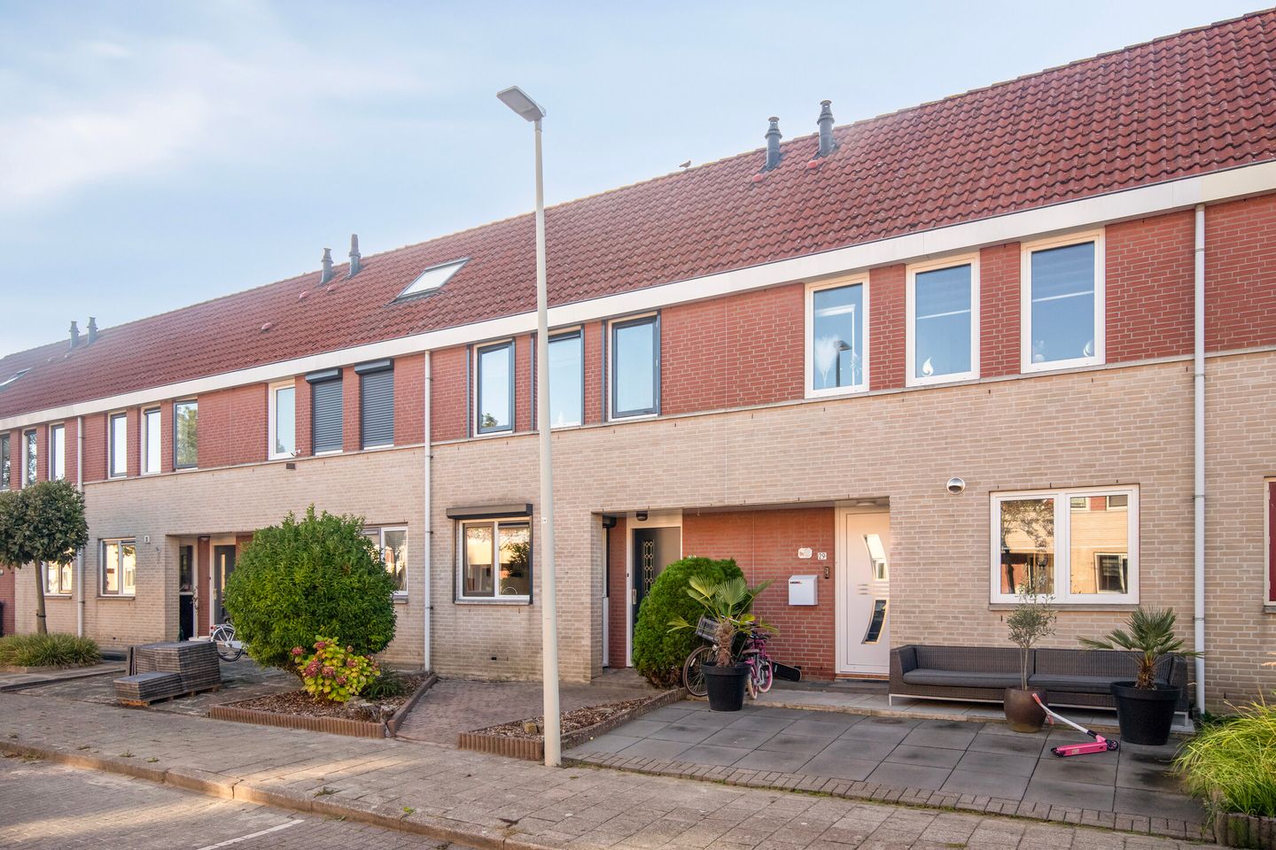 Photo 25 of Meerkoet 27