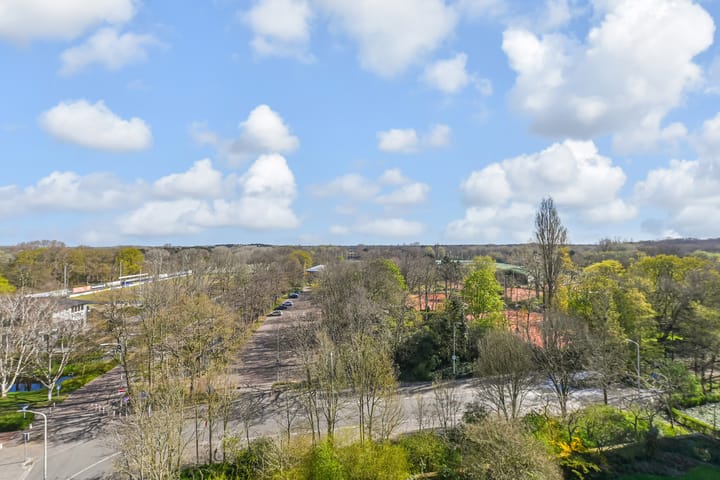 Foto 25 van Cees Laseurlaan 347