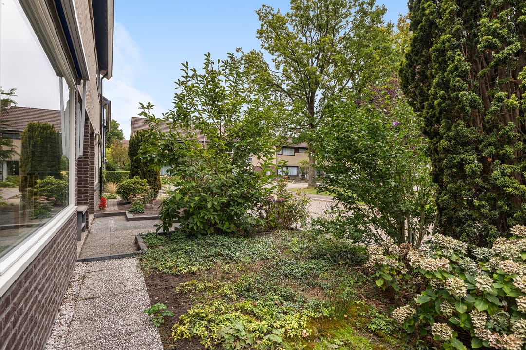 Foto 11 van Andringasingel 17