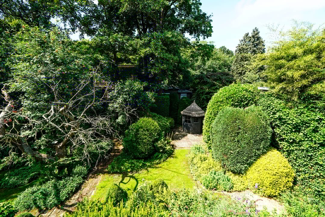 Foto 31 van Jan Muschlaan 12