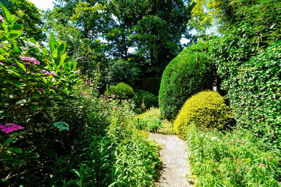 Foto 32 van Jan Muschlaan 12