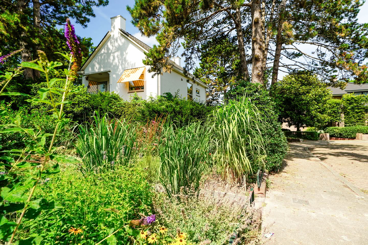 Foto 34 van Jan Muschlaan 12