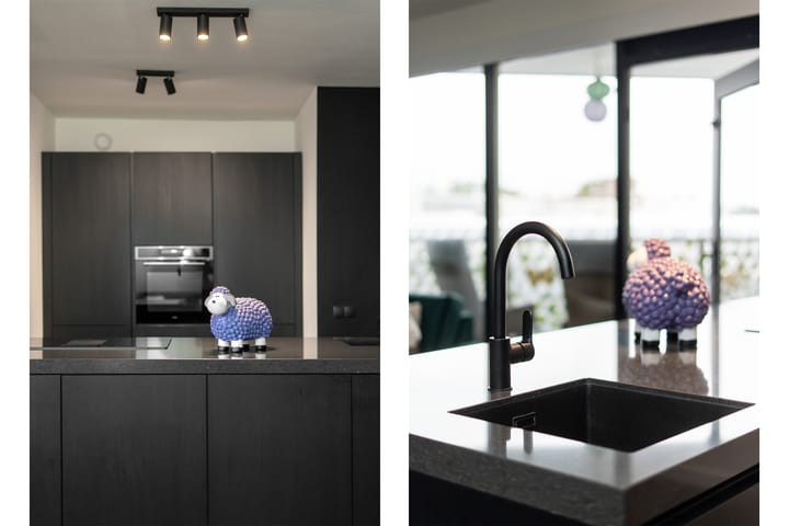 Foto 13 van Wadden 9