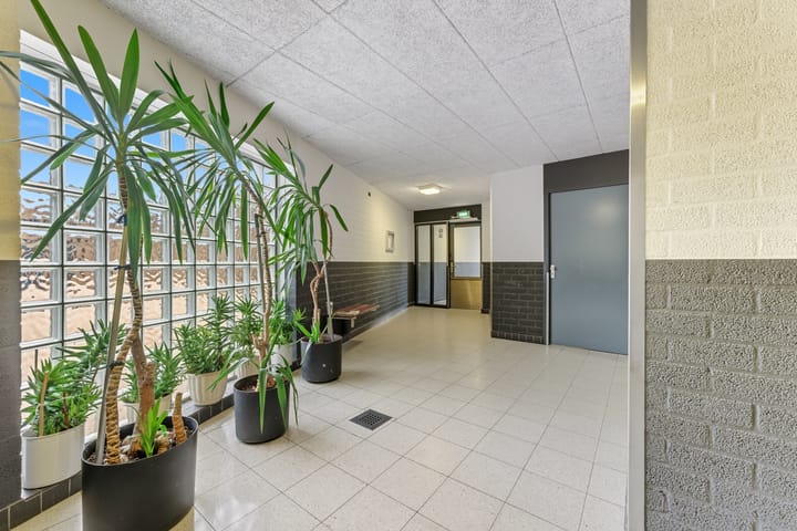 Foto 28 van Wadden 9