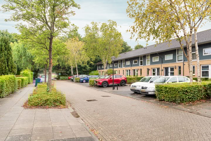 Foto 7 van Februaristraat 11