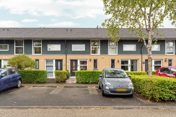 Foto 53 van Februaristraat 11