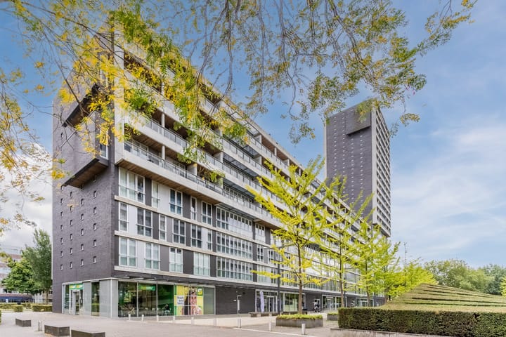 Foto 41 van Professor de Moorplein 495