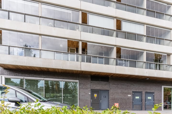 Foto 42 van Professor de Moorplein 495