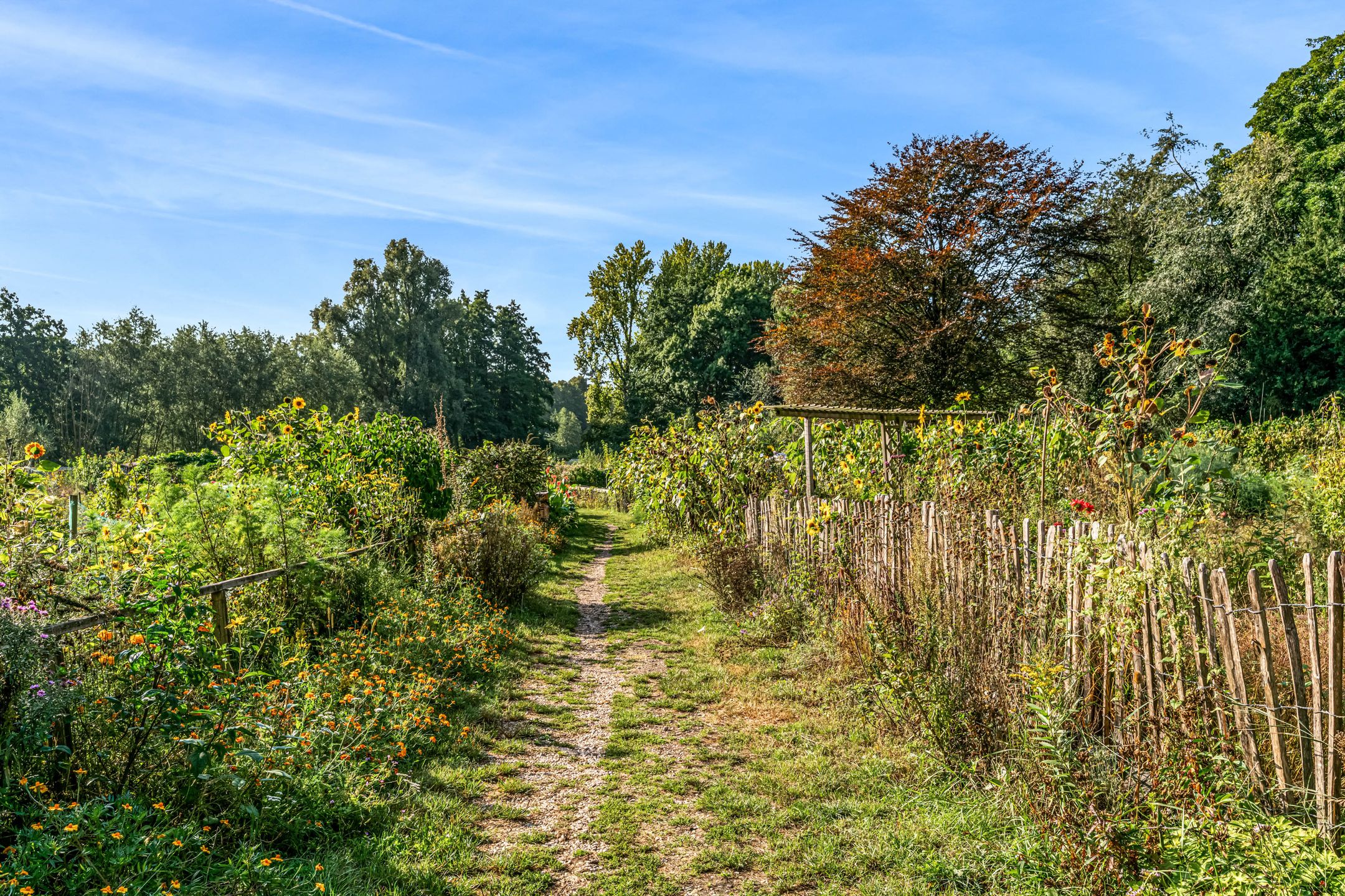 Photo 30 of Utrechtseweg 42