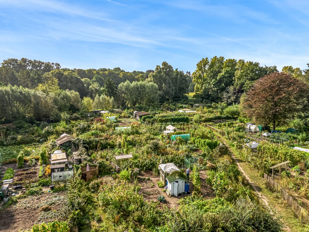 Photo 31 of Utrechtseweg 42
