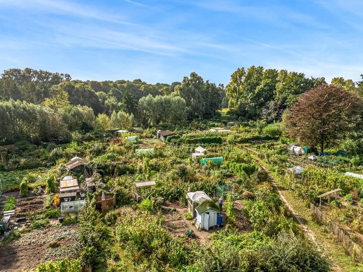 Foto 31 van Utrechtseweg 42