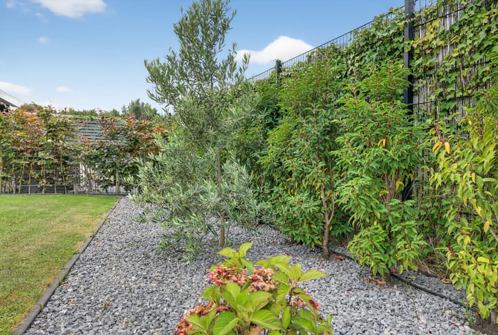 Foto 56 van Zandweg 10