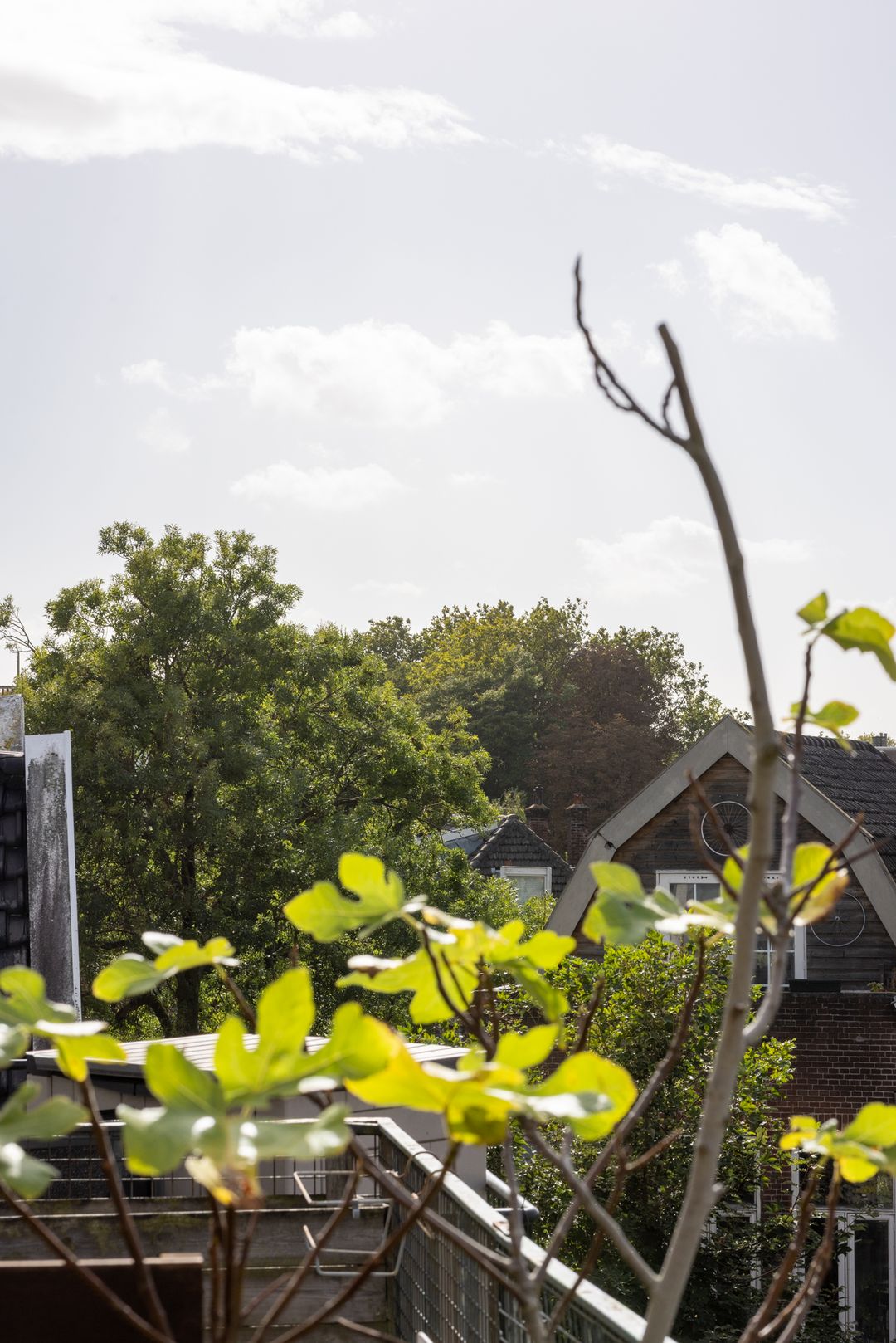 Foto 37 van Bergweg 143-A